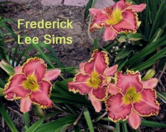 fred lee s rs